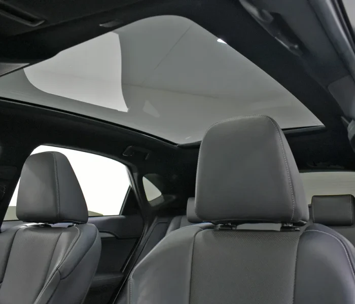 72db9c54-c2a0-4176-9825-4a6dbaf506be